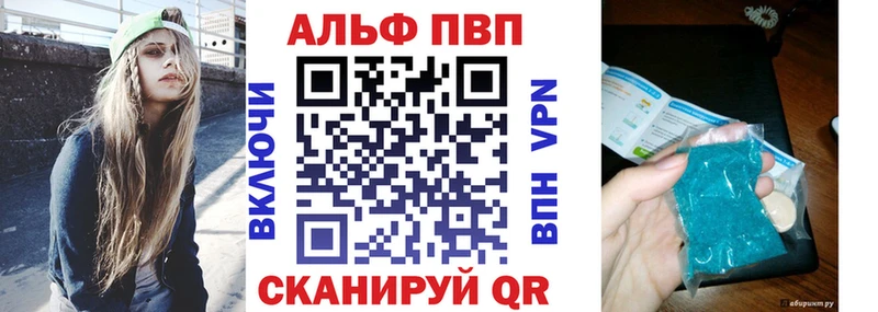 закладки  Бородино  APVP СК КРИС 