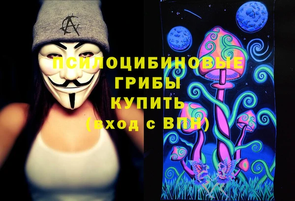 шишки Балахна
