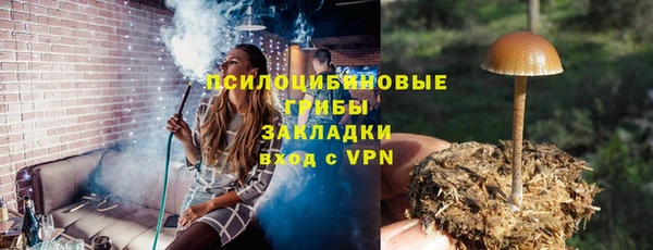 стафф Арсеньев