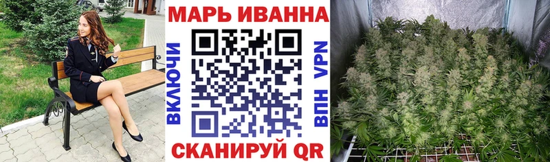 Бошки Шишки MAZAR Бородино